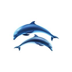 2 Dolphins - swimming pool decoration
